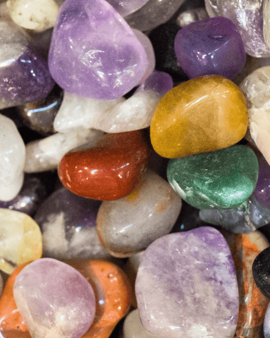 Visuel Gwenaëlle Holzer